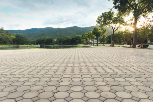 Best Custom Driveway Pavers  in Orida Ridge, FL